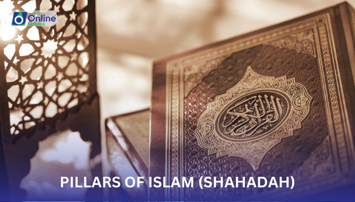 Lesson 01: Pillars of Islam